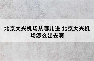 北京大兴机场从哪儿进 北京大兴机场怎么出去啊